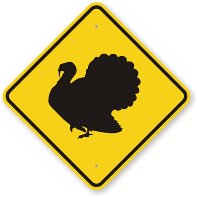 Slow Turkey Crossing