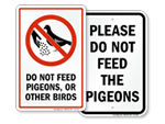 Do Not Feed the Pigeons