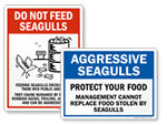Do Not Feed Seagulls Signs