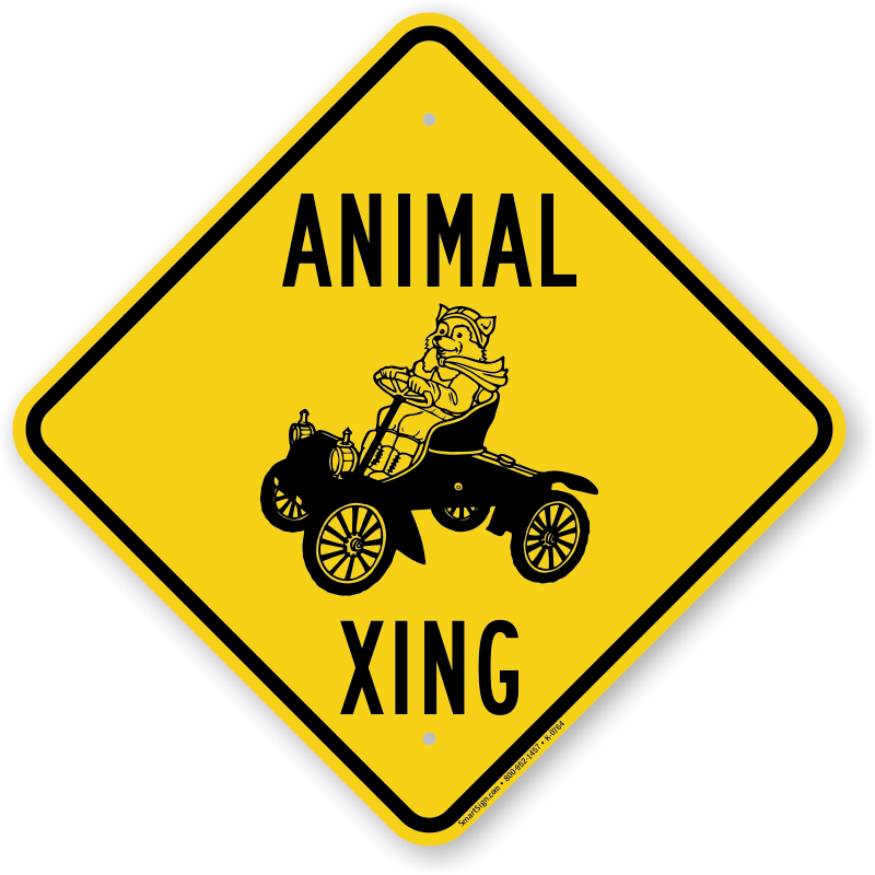 15.5" x 15.5" plastic funny Cat sign xing Crossings animal Novelty 