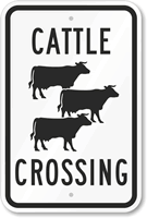 Cattle Crossing Sign (with Graphic)