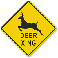 Deer Xing With Graphic Sign