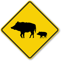 Pig Crossing Sign 