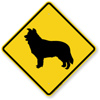 Border Collie Symbol Guard Dog Sign