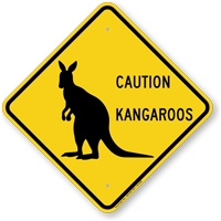 Caution Kangaroos Crossing Sign