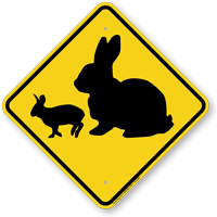 Rabbit with Bunny Crossing Sign