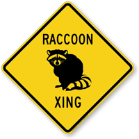 Raccoon Xing Symbol Sign